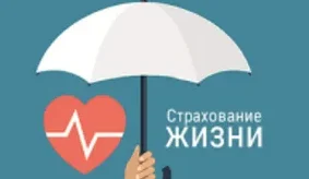 cropped жизнь.webp