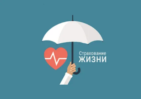 жизнь